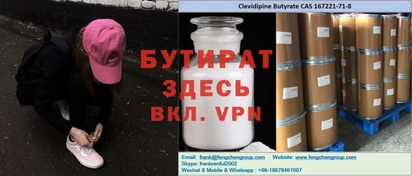 сатива Ельня