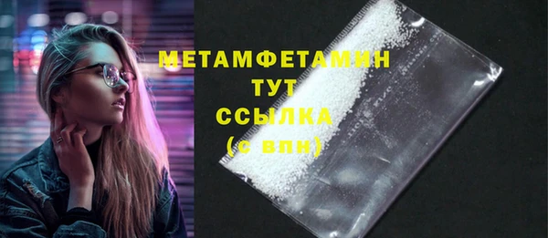 сатива Ельня