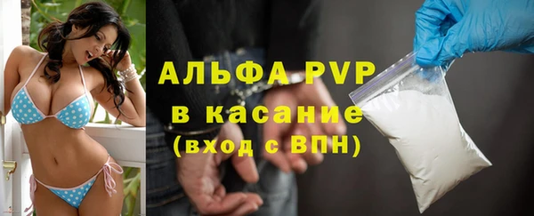 сатива Ельня