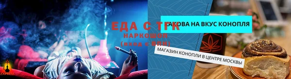 сатива Ельня