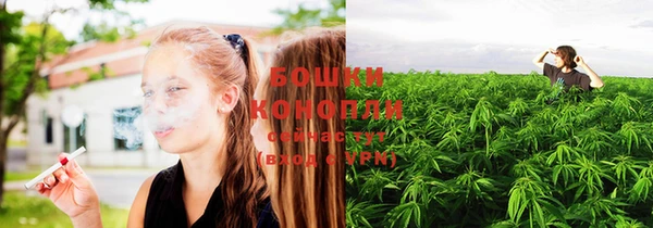 сатива Ельня
