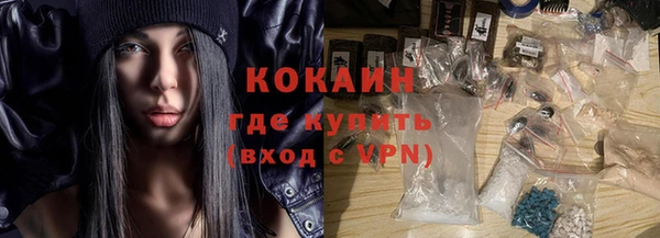 сатива Ельня