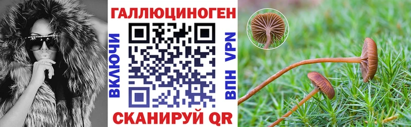 Галлюциногенные грибы мицелий  Купить где  Каневская 